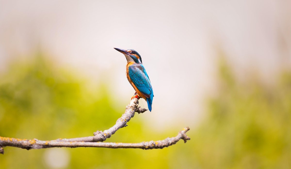 Exploring Autumn Migration Hotspots in Oxfordshire