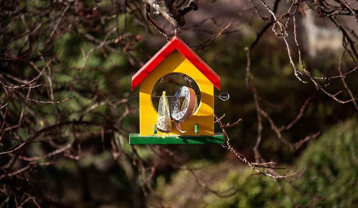 Learning Bird Calls in Woodland Habitats